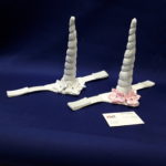 nyack unicorn horns
